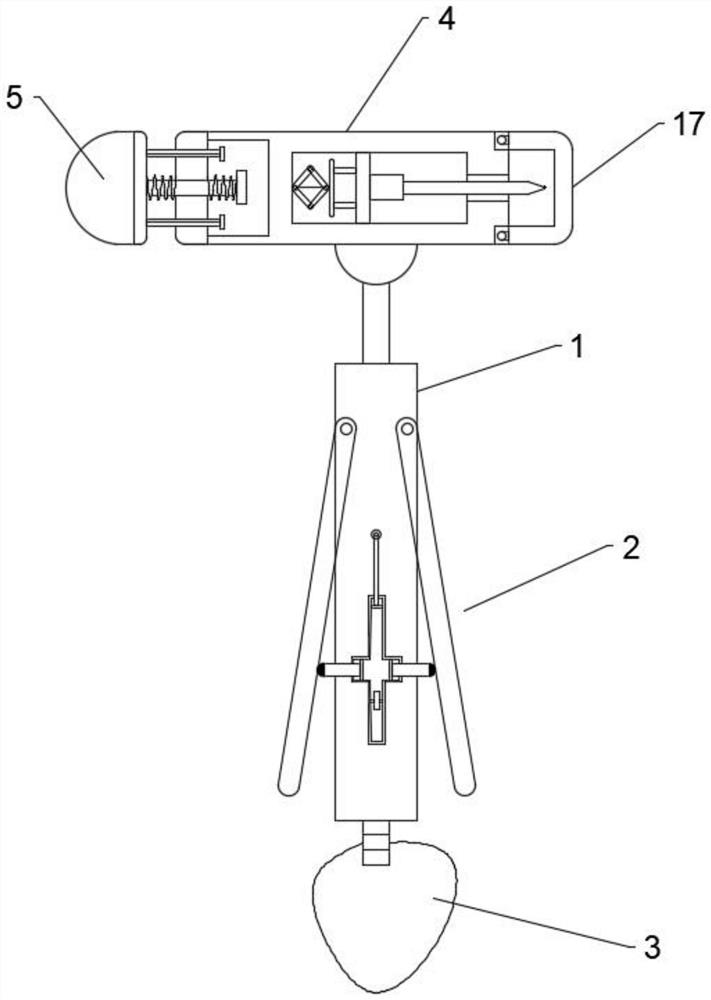 Automatic adjusting type clinical examination device for neurology department