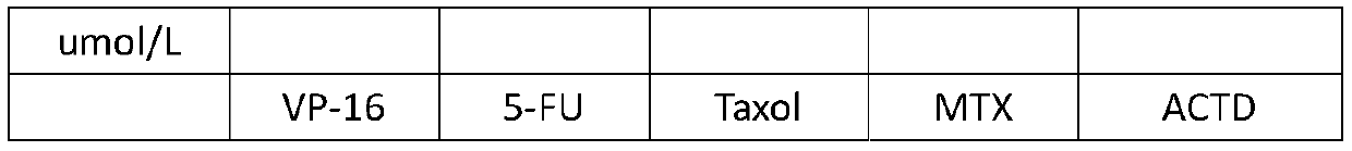 Human choriocarcinoma multidrug resistant cell lines