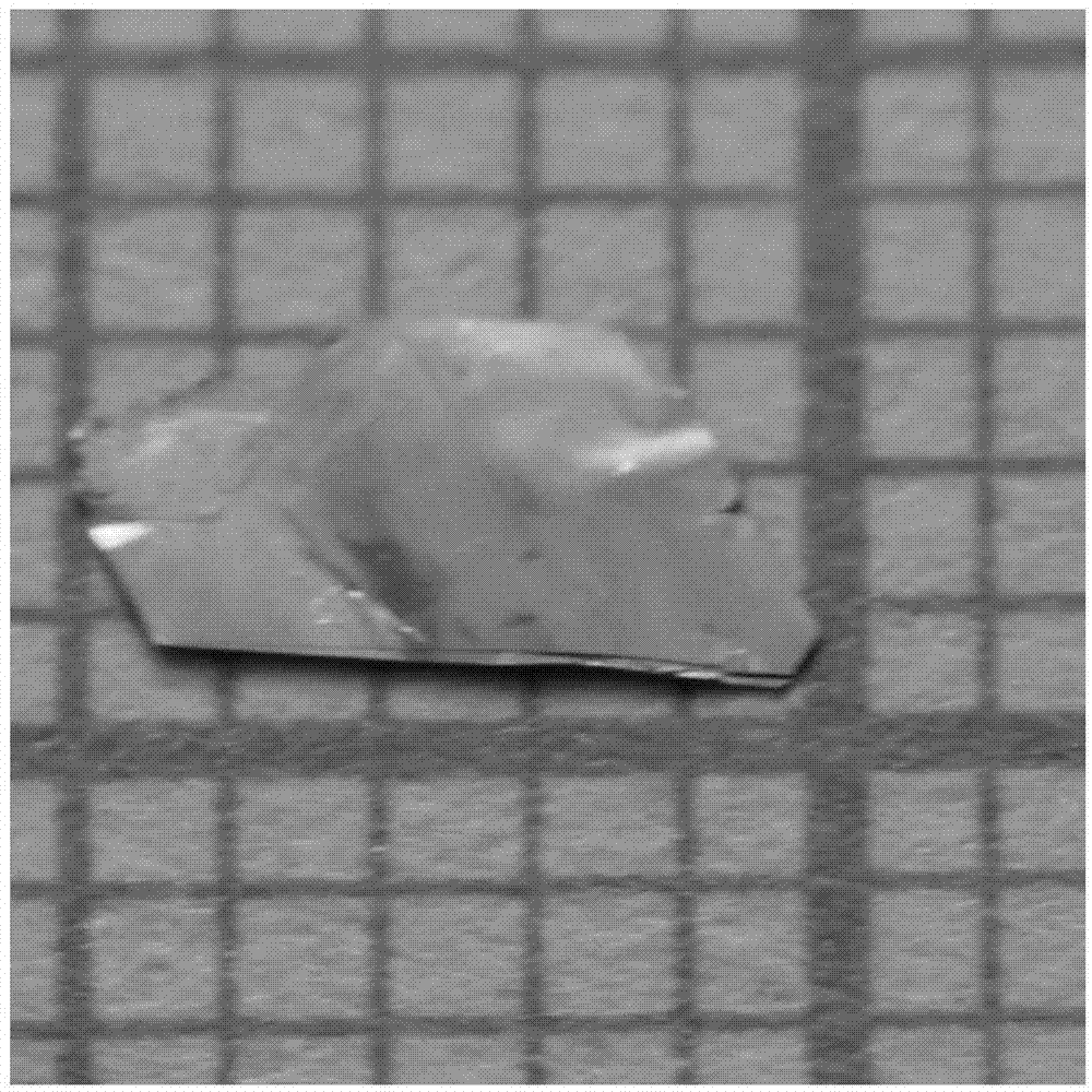 Method used for growth of transition metal chalcogenide crystals via metal fluxing agent method