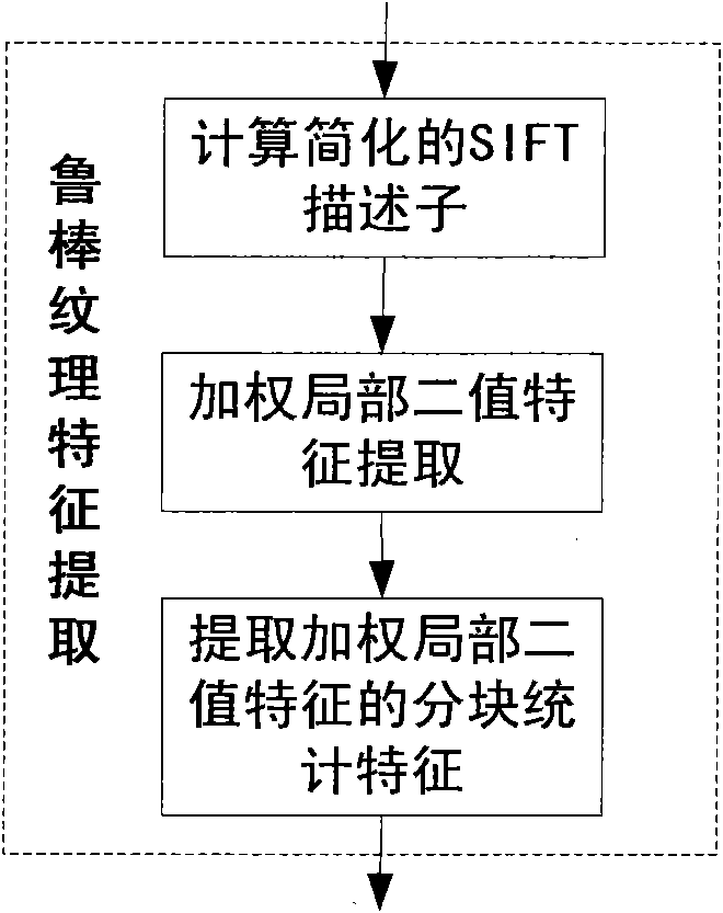 Method for distinguishing false iris images based on robust texture features and machine learning