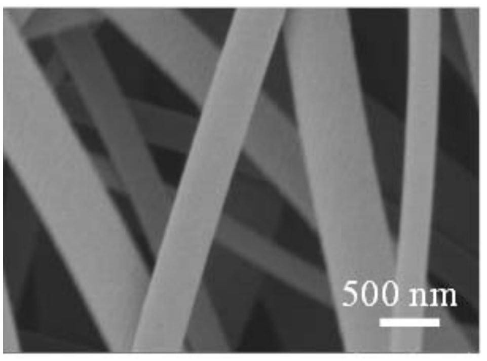 A carbon fiber/boron nitride flexible composite electrode and its preparation method and application