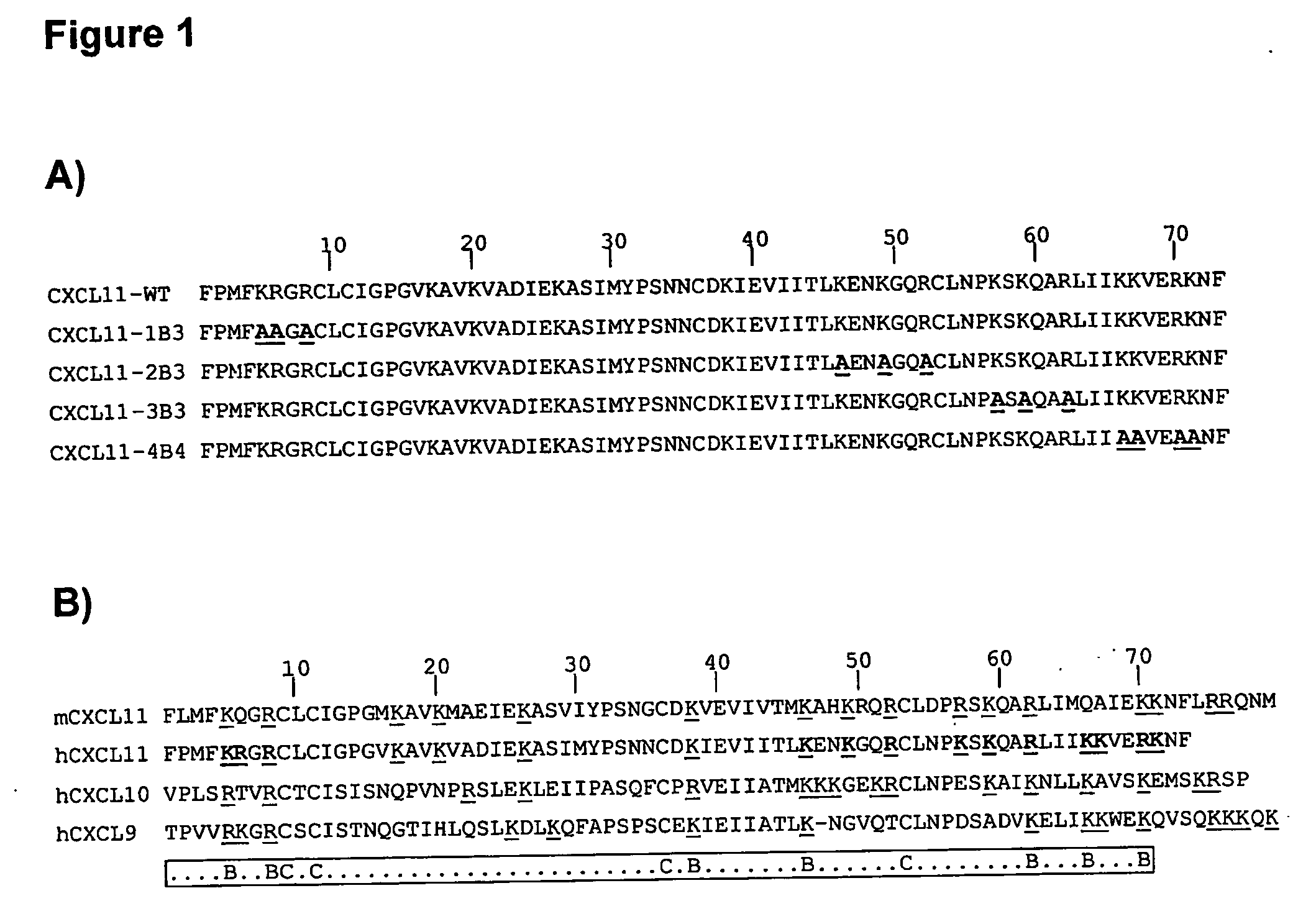 Novel antagonists of cxcr3-binding cxc chemokines