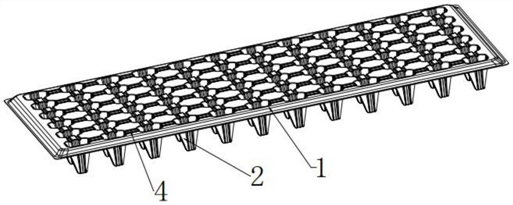 Seedling raising method suitable for mechanical transplanting of leafy vegetables