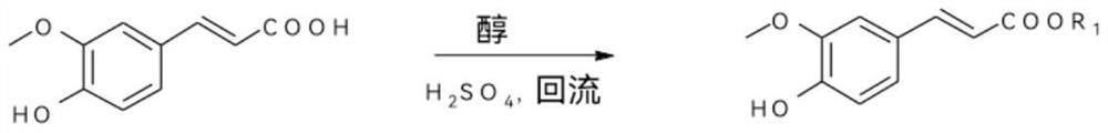 Ferulic acid eugenol and isoeugenol heterozygote and application