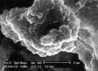 Premodulation technology for concentrated advanced treatment of sludge