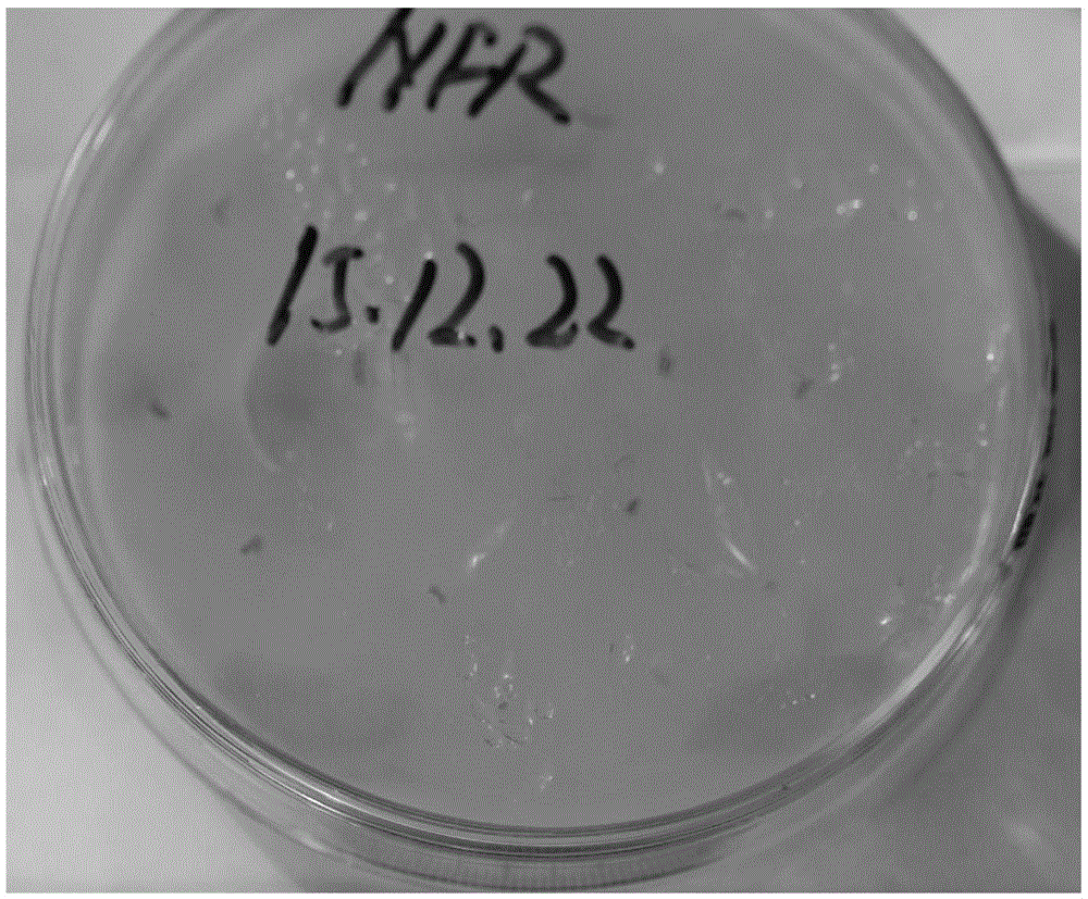 Culture medium used for batrachospermaceae and application of culture medium