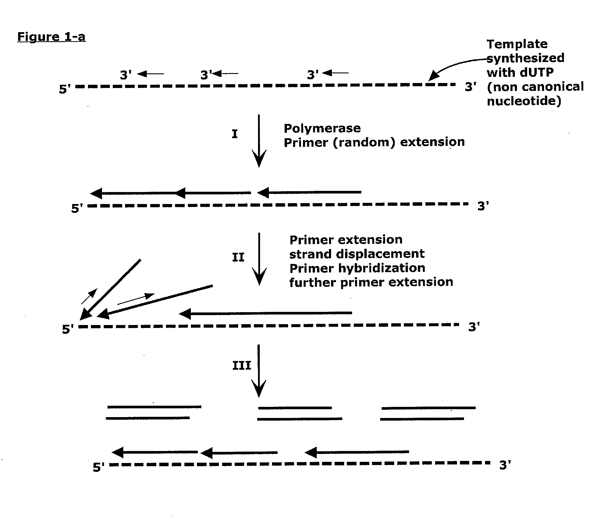 Methods, compositions, and kits for generating nucleic acid products substantially free of template nucleic acid