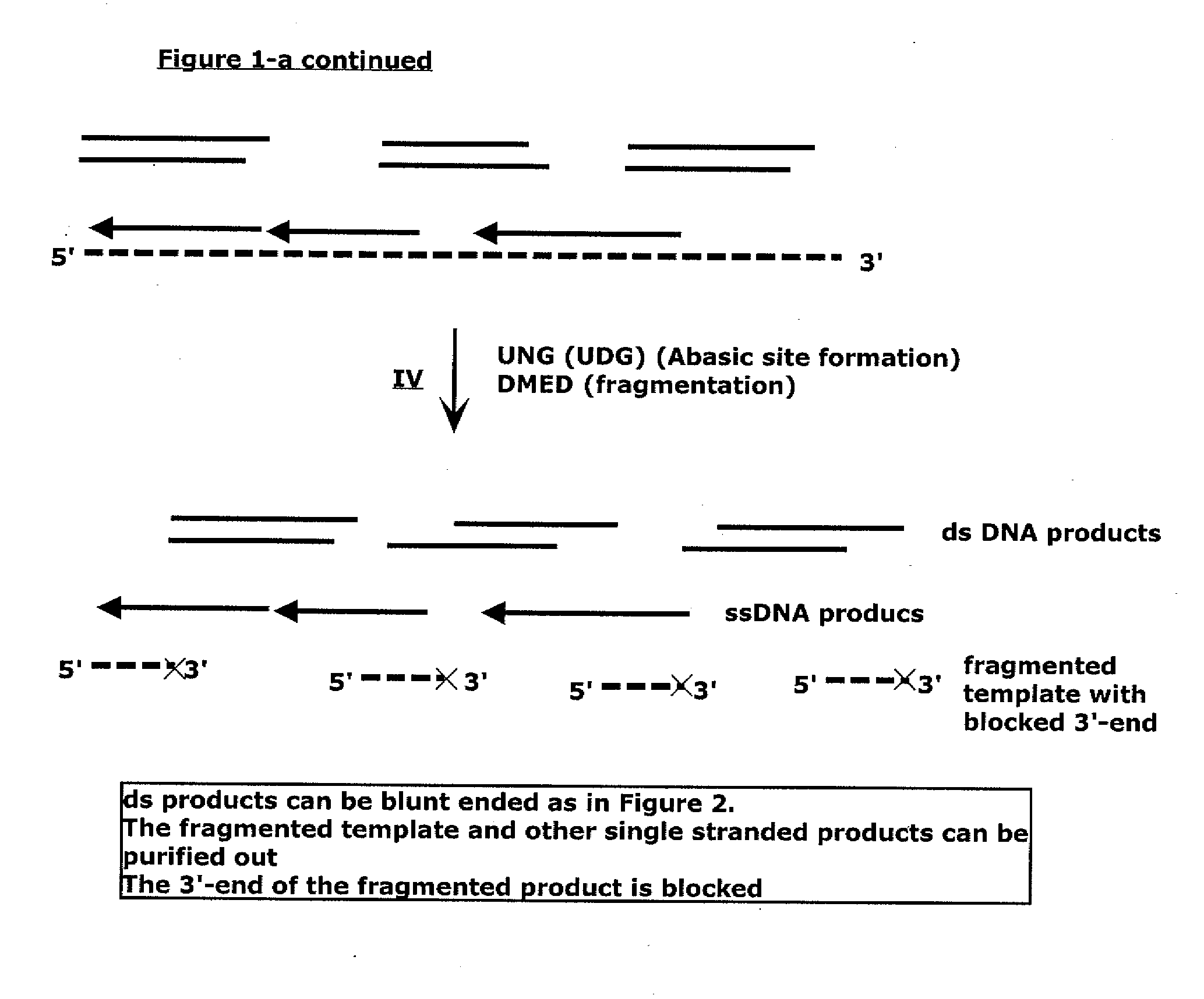 Methods, compositions, and kits for generating nucleic acid products substantially free of template nucleic acid