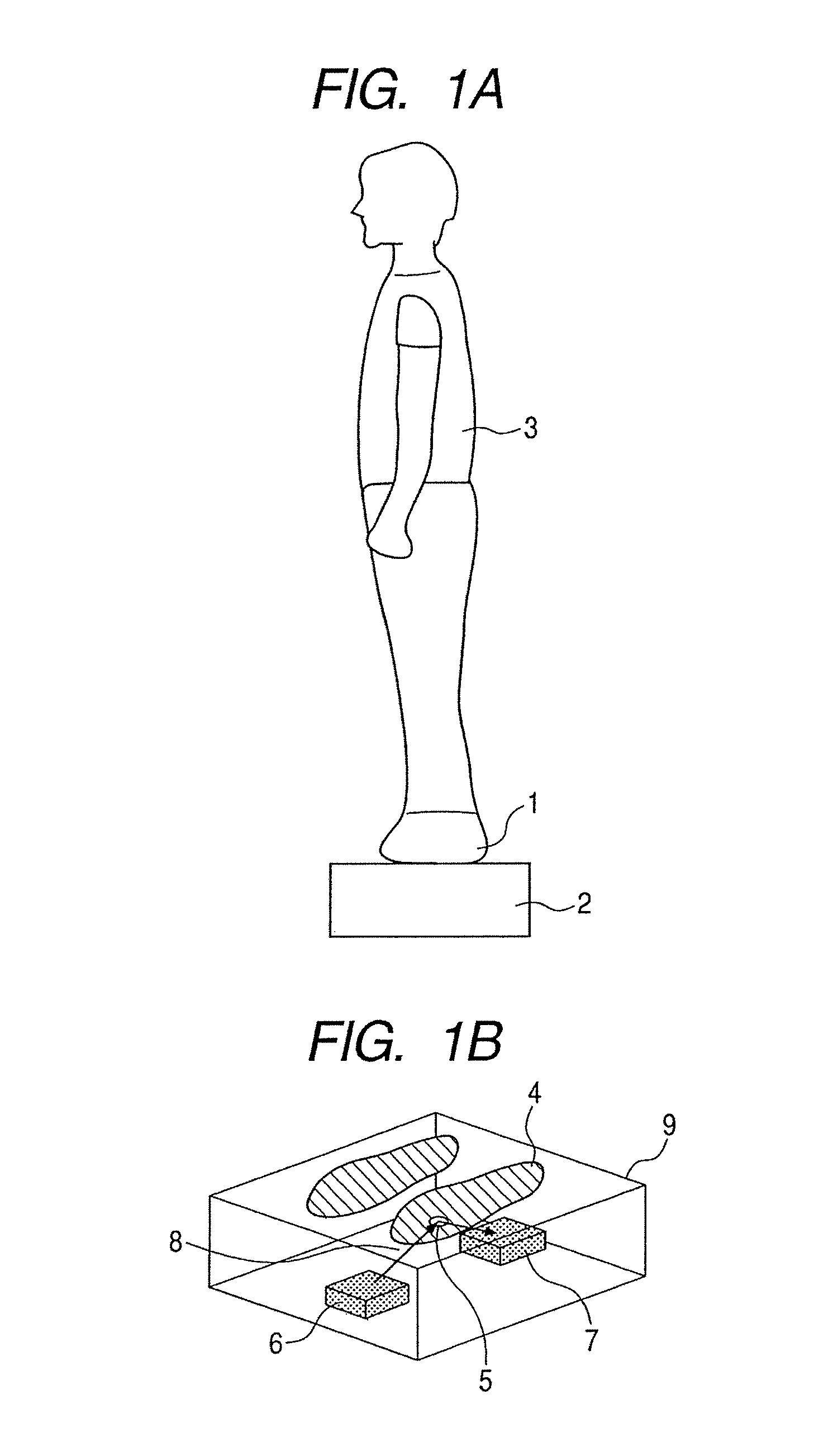 Object information acquisition apparatus and object information acquisition method