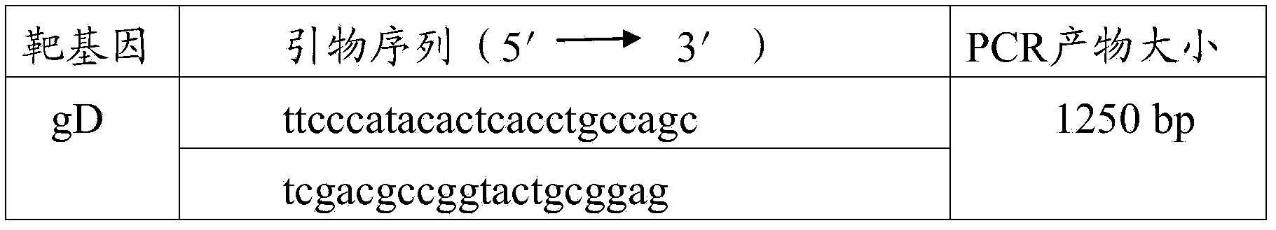 Swine pseudorabies virus strain, vaccine composition, preparation method and application thereof