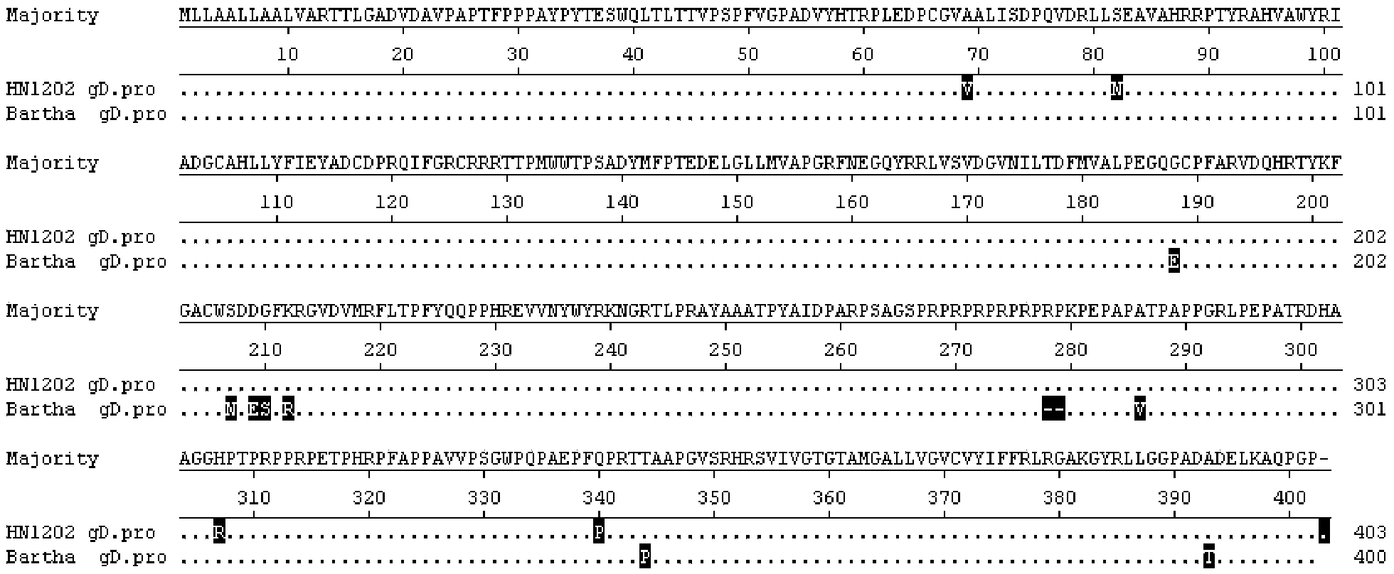 Swine pseudorabies virus strain, vaccine composition, preparation method and application thereof