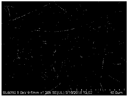 A cobalt monoatomic catalyst with cobalt atoms anchored on carbon nanofibers and a preparation method and application thereof