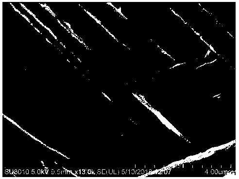 A cobalt monoatomic catalyst with cobalt atoms anchored on carbon nanofibers and a preparation method and application thereof