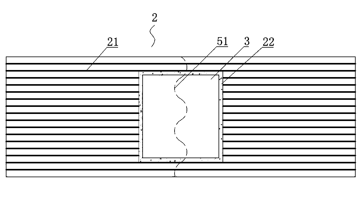 Functional fixer (paster/sheet/membrane) of indwelling needle/indwelling tube