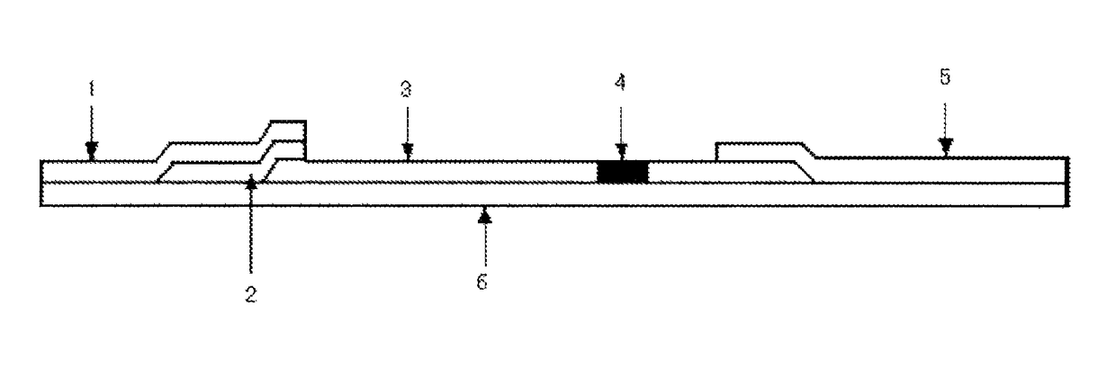 Immunochromatography device for detecting RSV