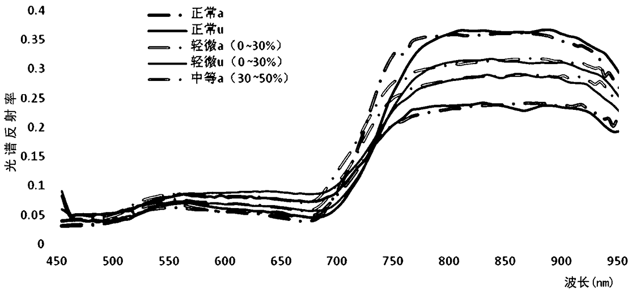 Method for building winter wheat full-rot disease index prediction models on basis of spectral indexes and application