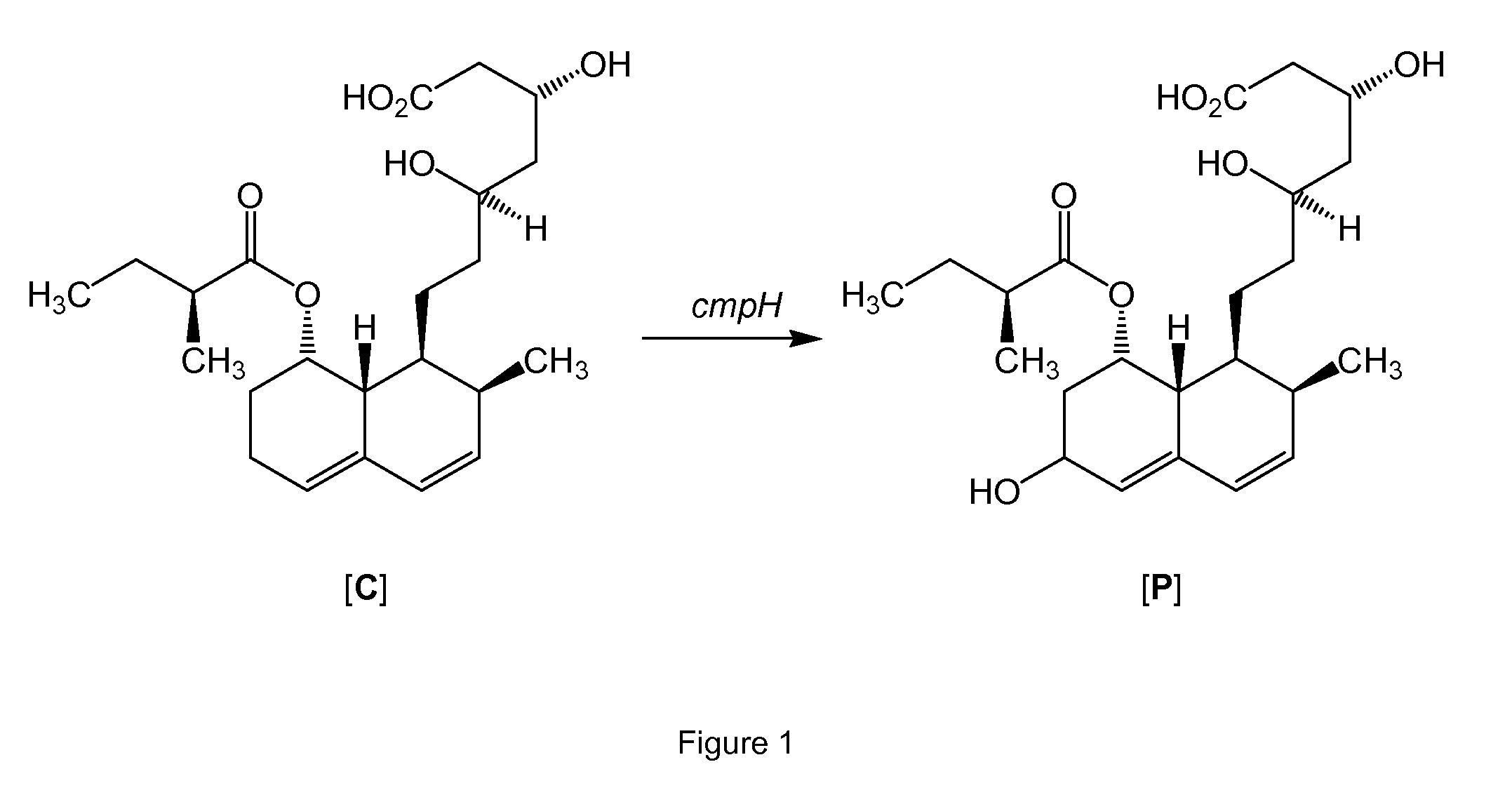 Process for preparing pravastatin