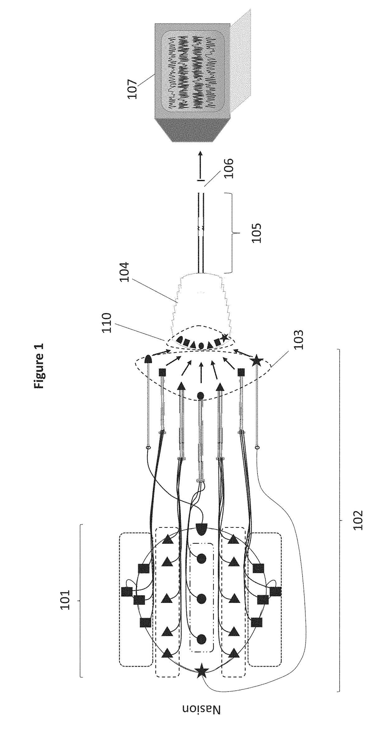 Electrode configuration scheme for electrophysiological testing devices