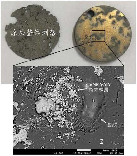 Thermal barrier coating for single crystal superalloy thermal protection and preparation method thereof