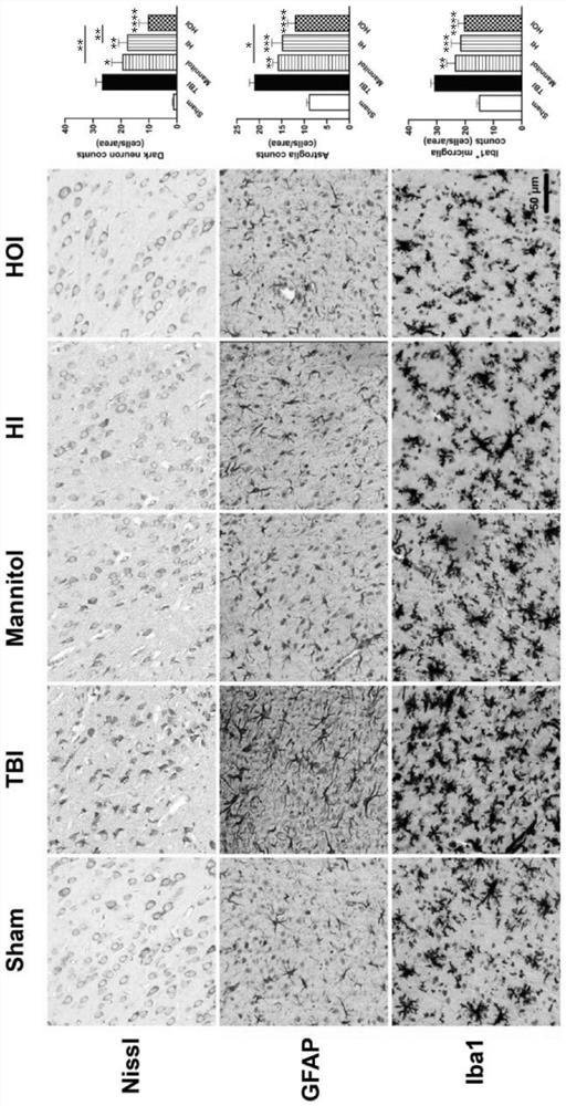 Hydrogen molecule therapeutic agents for restoring brain function after TBI injury