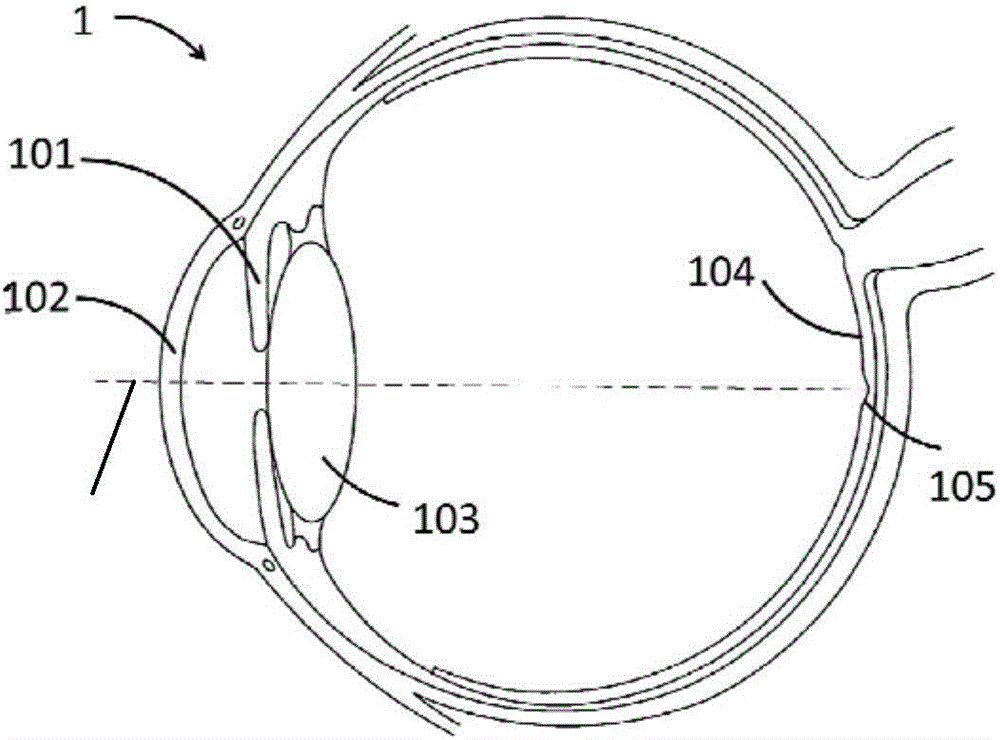 Head-mounted augmented reality three-dimensional display apparatus