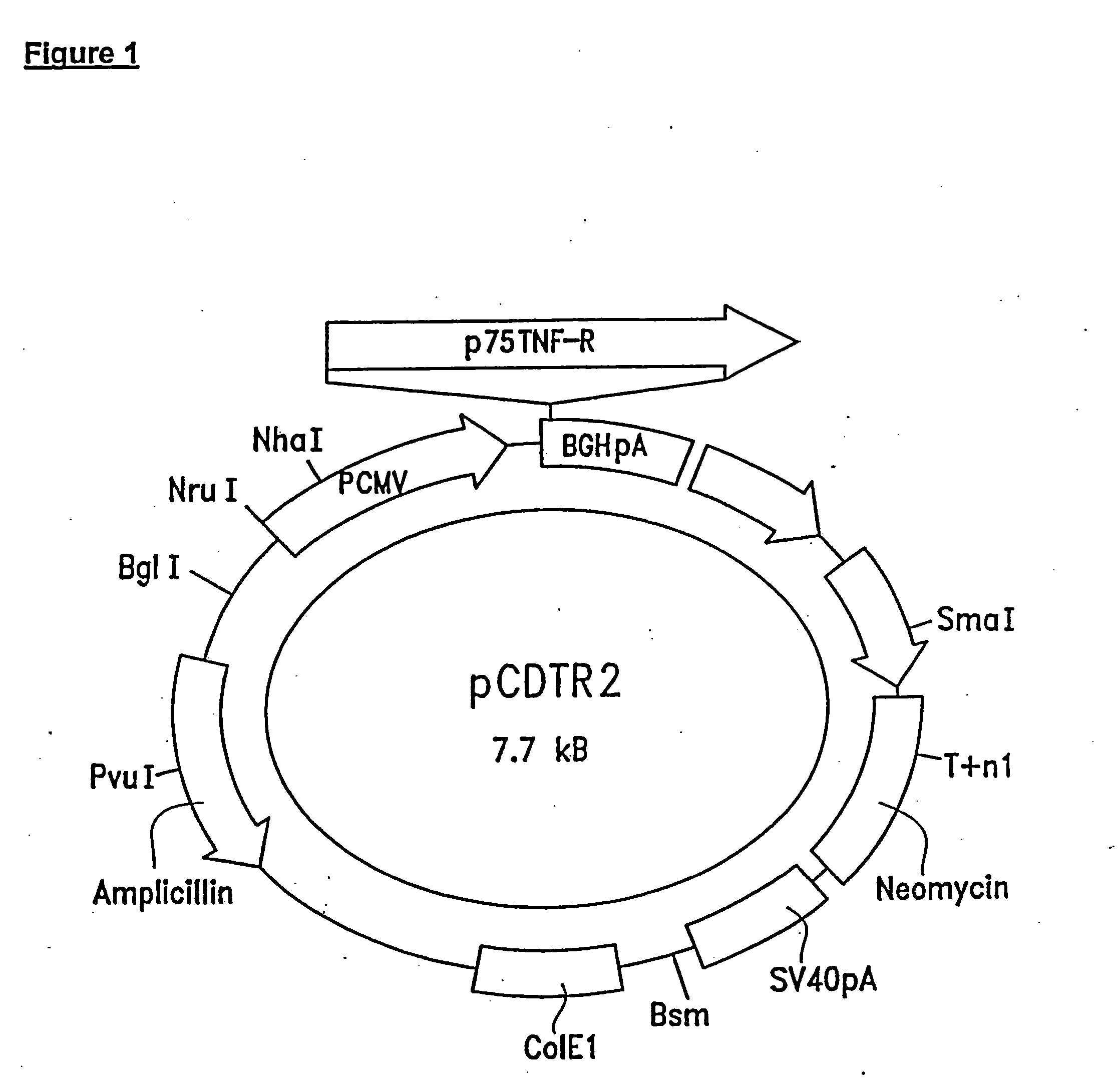 Pharmaceutical compositions for treating arthritis and inflammatory disease