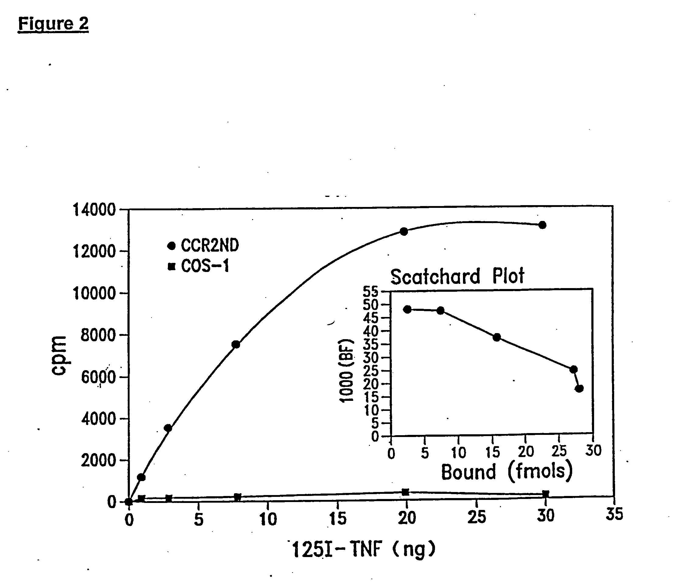 Pharmaceutical compositions for treating arthritis and inflammatory disease