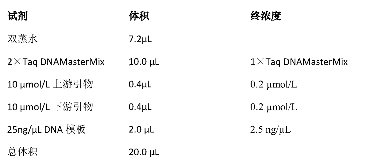 Buffalo-specific primers, kits and their application in the identification of buffalo-derived components