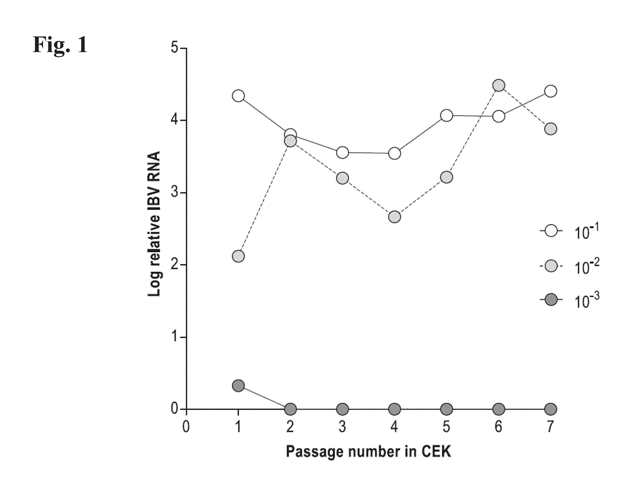 Adaptation of attenuated infectious bronchitis virus (IBV) to embryonic kidney cells and vaccine thereby produced