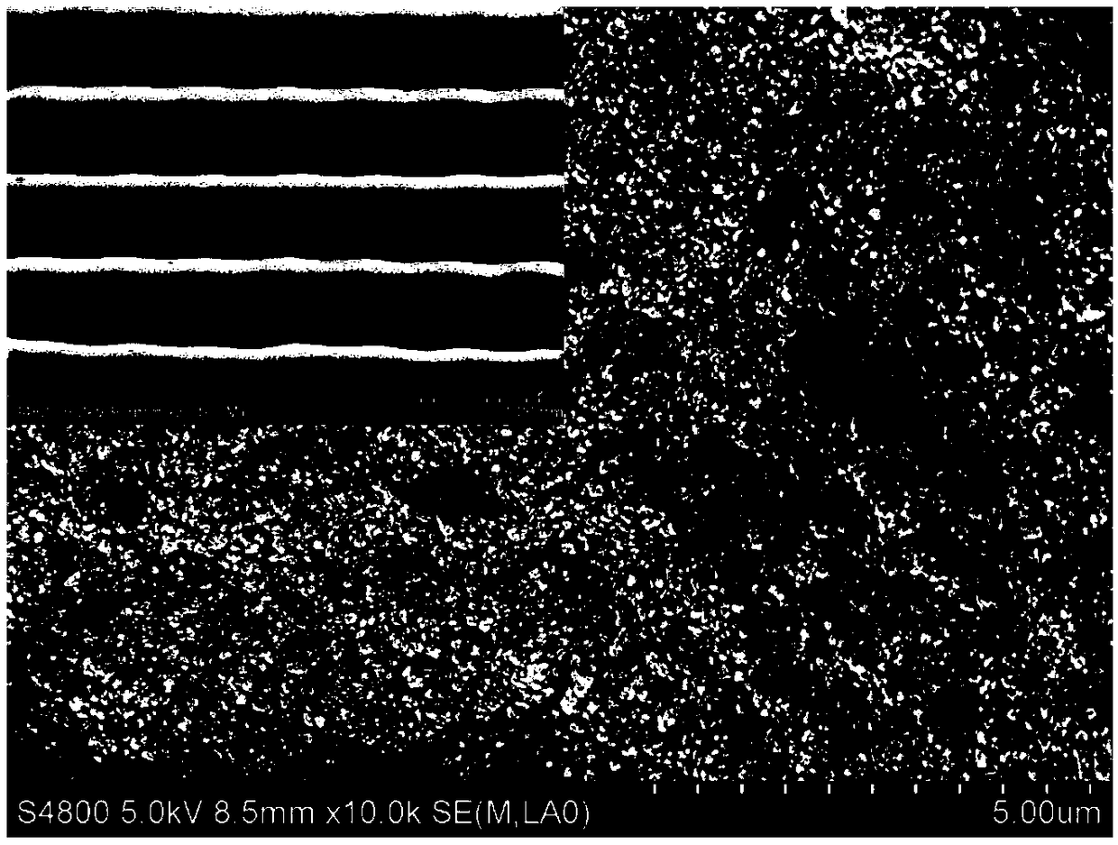 Biodegradable hard tissue repair composite scaffold prepared by 3D printing technology and preparation method thereof