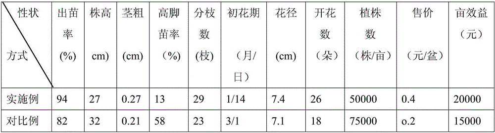 Method for cultivating potted calendula officinalis flowering during Spring festival