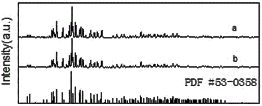 Selective composite photo-catalyst powder and preparation method and application thereof