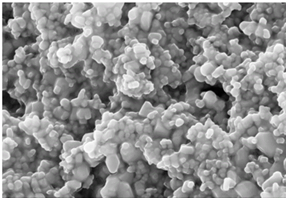 Selective composite photo-catalyst powder and preparation method and application thereof