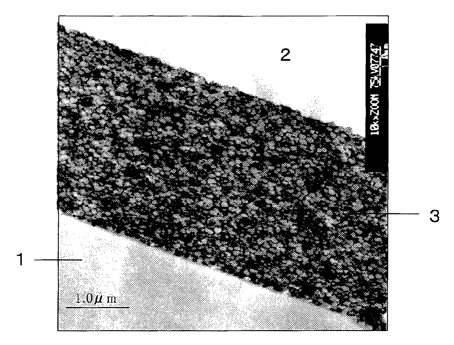 Aqueous organic-inorganic hybrid composition