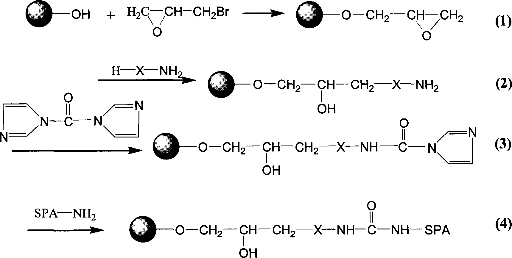 Blood purifying protein A immunoadsorption material and synthesizing method thereof