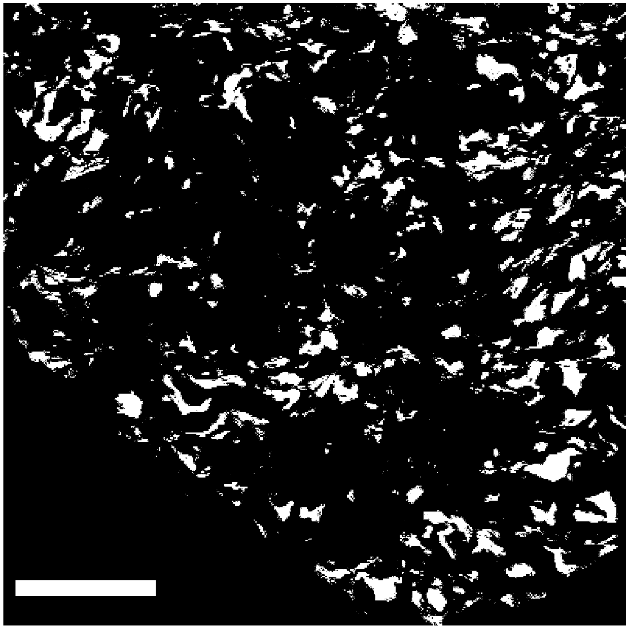 Magnesium alloy surface treatment method and preparation method of magnesium alloy and resin complex