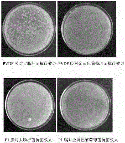 Cationic functional fluorine-containing polymer and preparation method thereof