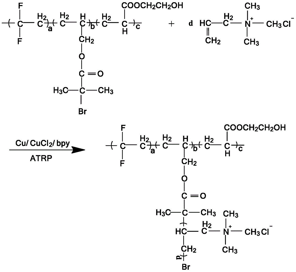 Cationic functional fluorine-containing polymer and preparation method thereof