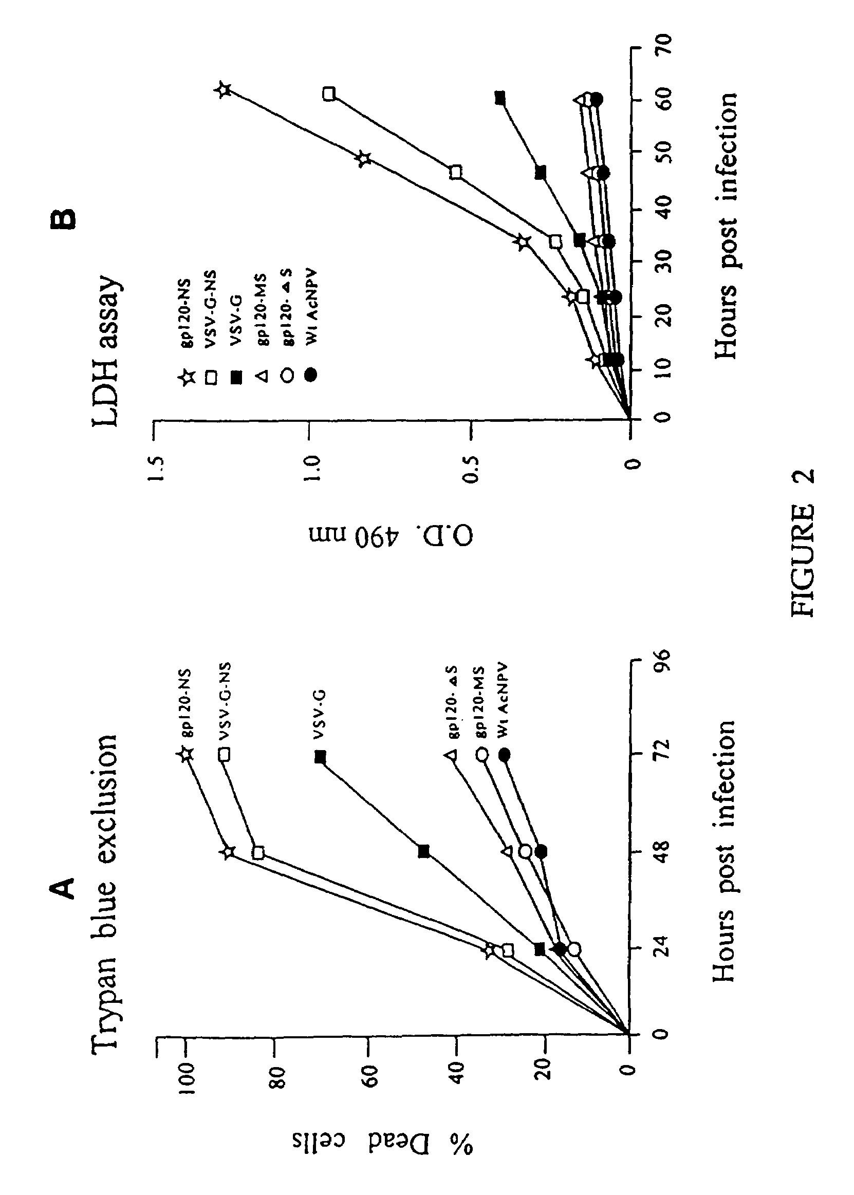 HIV vaccine