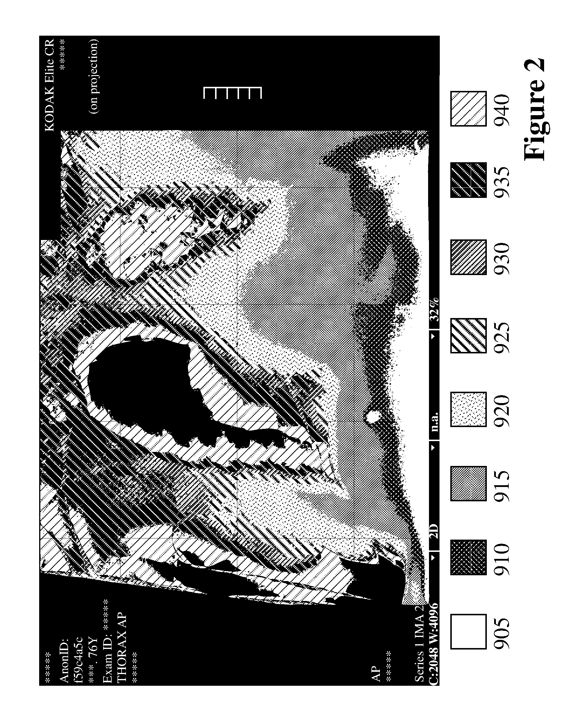 Method and system for rule-based anonymized display and data export