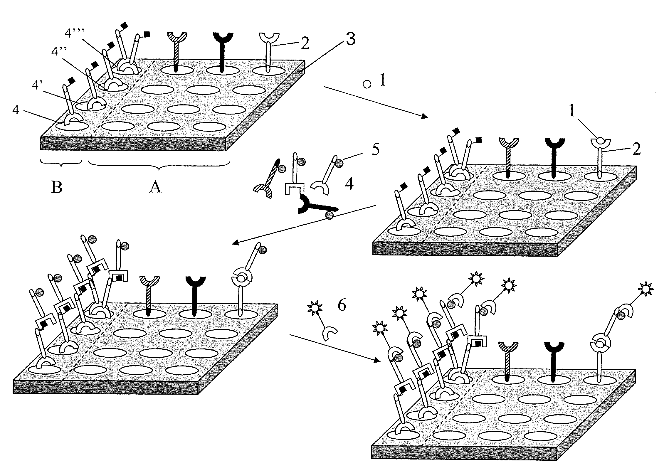 Method and system for quantification of a target compound obtained from a biological sample upon chips