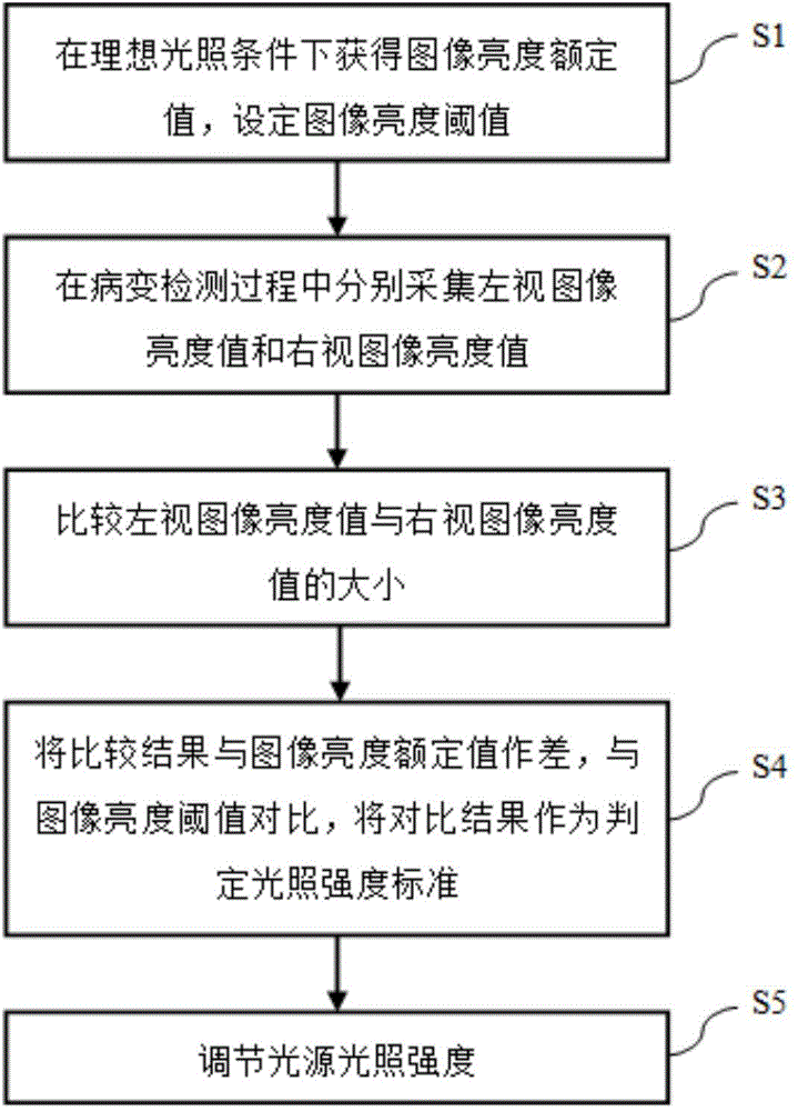 System and method for adjusting stereoscopic endoscope light source brightness