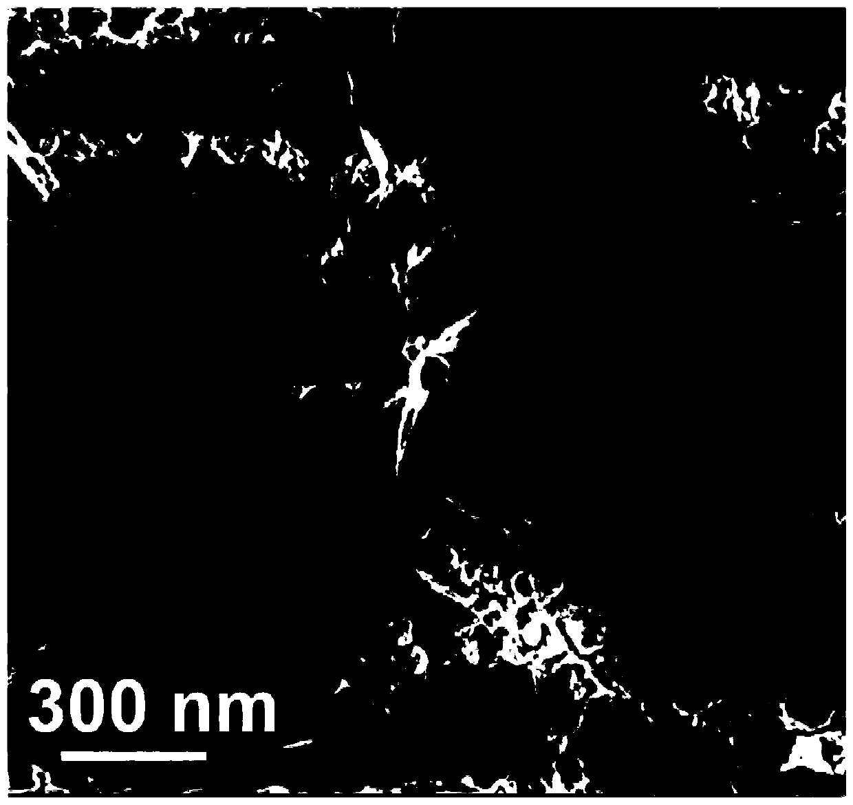 Iron alkoxide oxygen evolution catalyst based on deep eutectic solvent, preparation method and application of electrocatalytic oxygen evolution