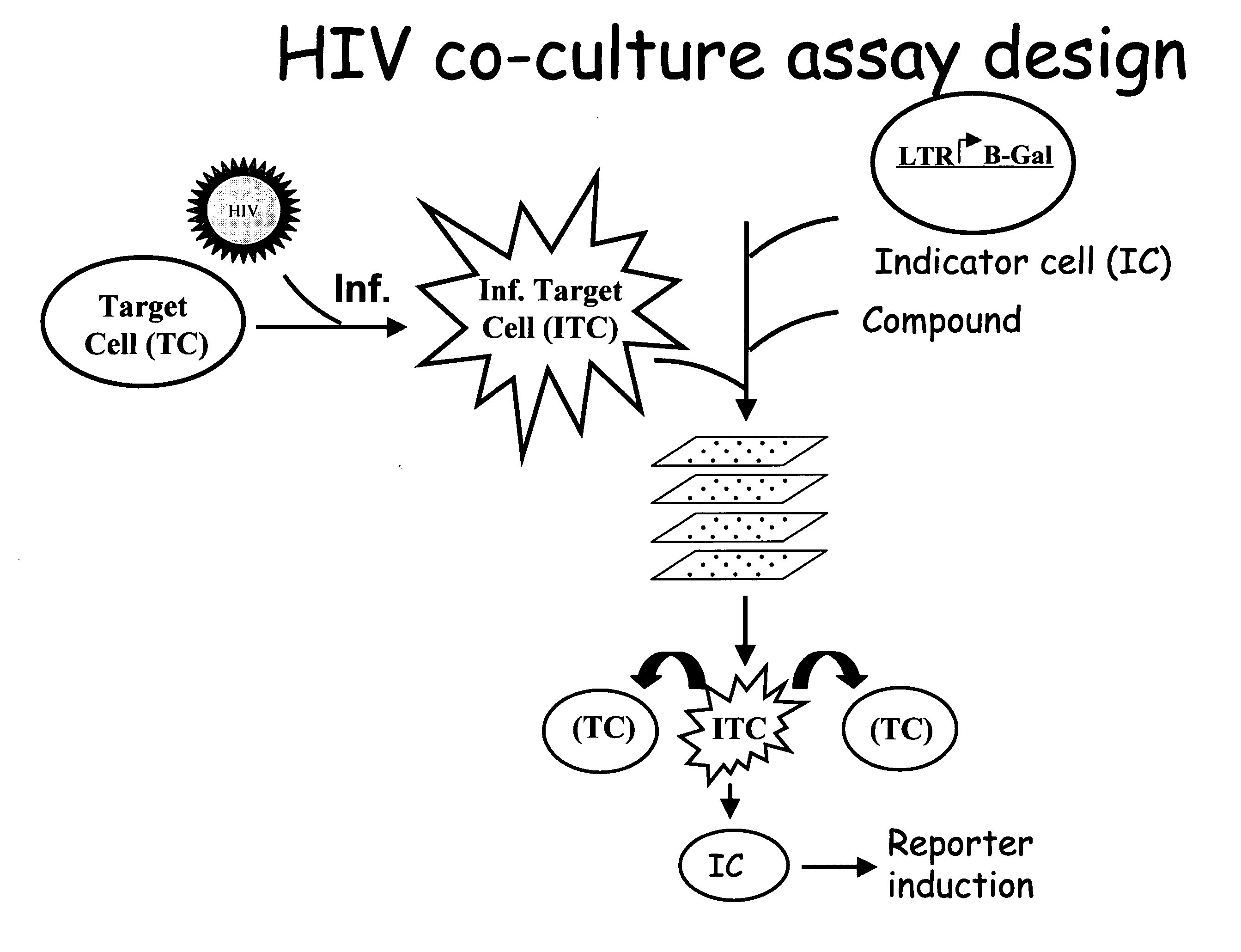 Lentivirus assay system including Vif protein activity