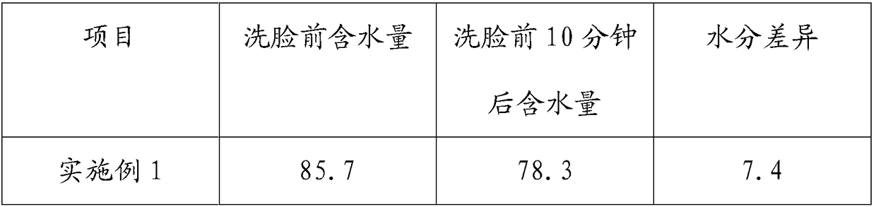 Foaming cleaning skin care product and preparation method thereof