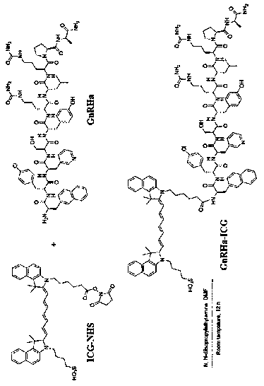 GnRH (Gonadotropin-releasing hormone) receptor-targeted near-infrared fluorescence imaging probe and preparation method and application thereof