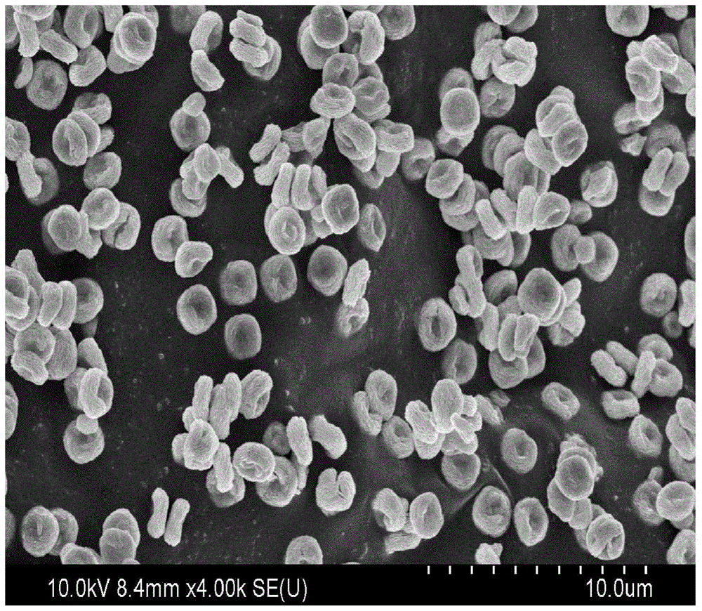 Persimmon-shaped visible light catalyst biobr and preparation method thereof