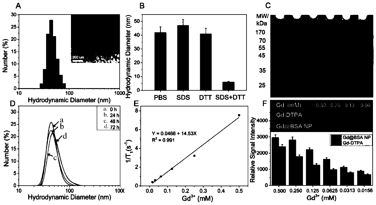 Construction method of living cell probe based on neutrophilic granulocyte