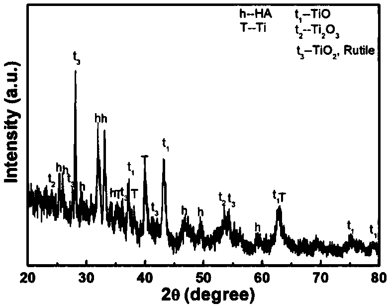 Nano structure hydroxyapatite/titanium composite coating and preparing method thereof