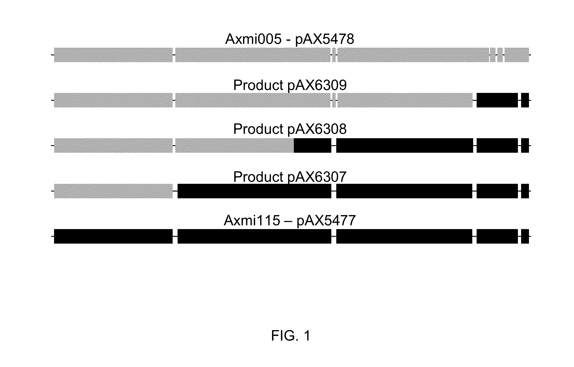 Axmi115 variant insecticidal gene and methods for its use